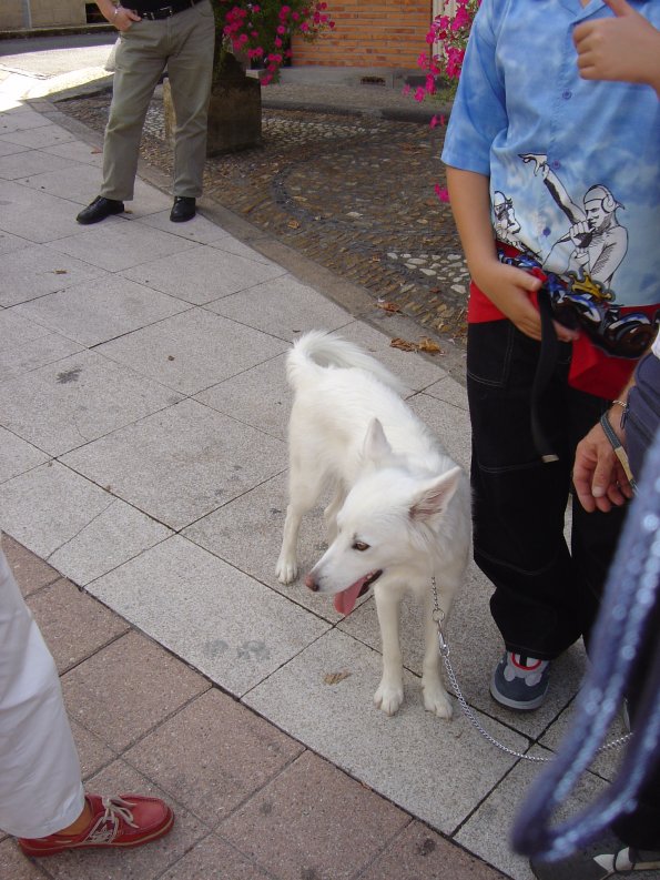 Sorties Vieilles Voitures 2003 41