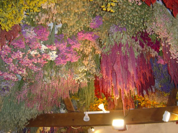 Sorties Vieilles Voitures 2003 52