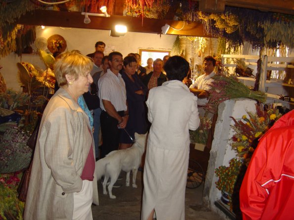 Sorties Vieilles Voitures 2003 54