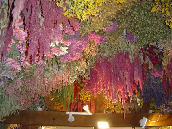 Sorties Vieilles Voitures 2003 55