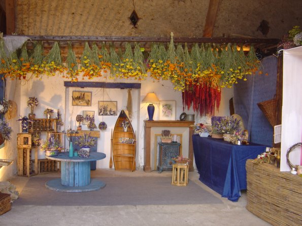 Sorties Vieilles Voitures 2003 59