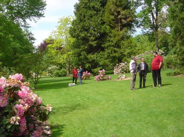 Sortie Vieilles Voitures 2006 006