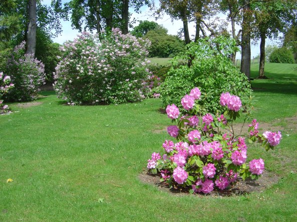 Sortie Vieilles Voitures 2006 009