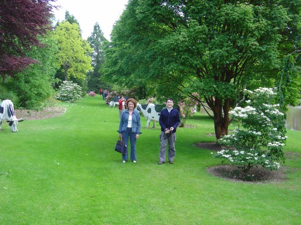 Sortie Vieilles Voitures 2006 012