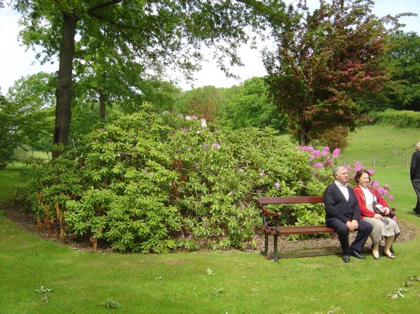 Sortie Vieilles Voitures 2006 015