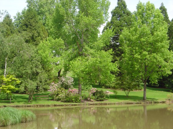 Sortie Vieilles Voitures 2006 021