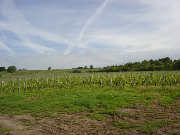 Sortie Vieilles Voitures 2006 053