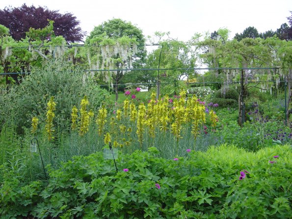 Sortie Vieilles Voitures 2006 066