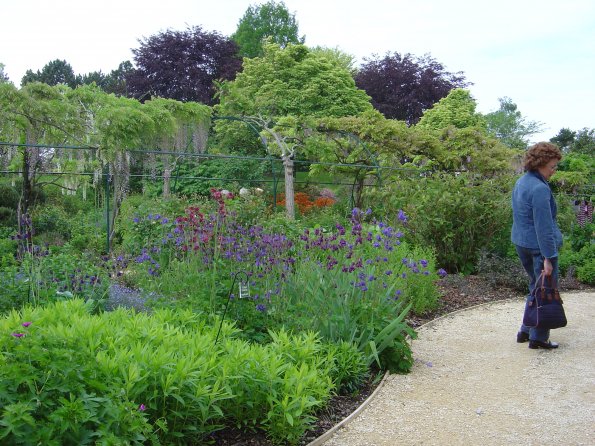 Sortie Vieilles Voitures 2006 067