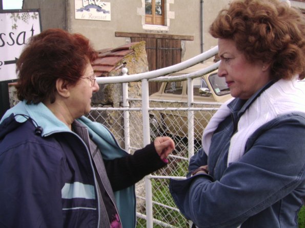 Sortie Vieilles Voitures 2006 071