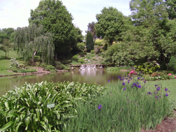 Sortie Vieilles Voitures 2006 081