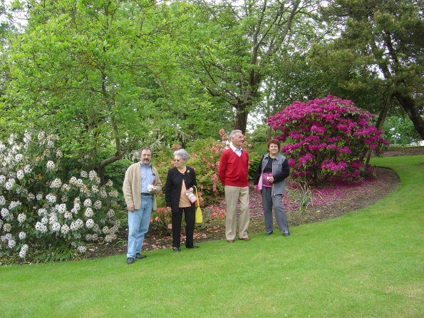 Sortie Vieilles Voitures 2006 086