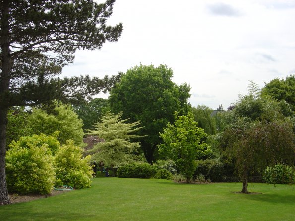 Sortie Vieilles Voitures 2006 100