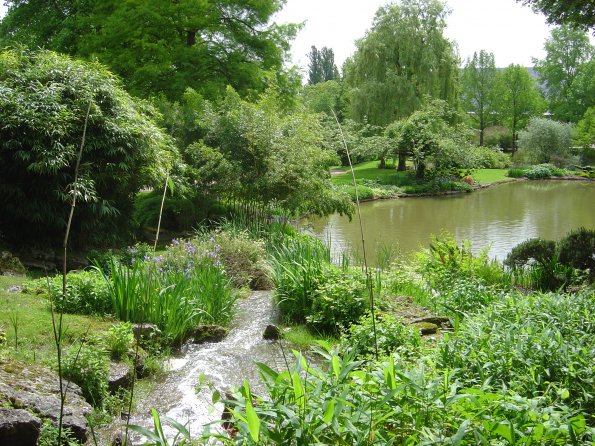 Sortie Vieilles Voitures 2006 103