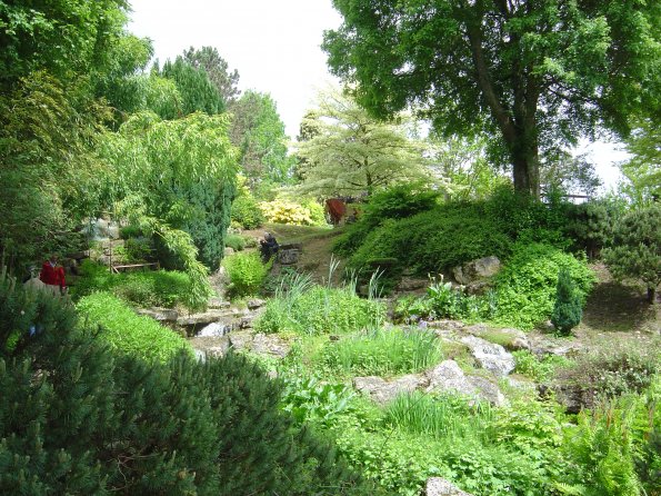 Sortie Vieilles Voitures 2006 104