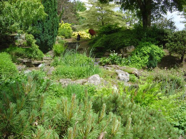 Sortie Vieilles Voitures 2006 105