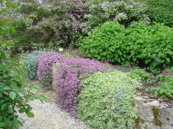 Sortie Vieilles Voitures 2006 109