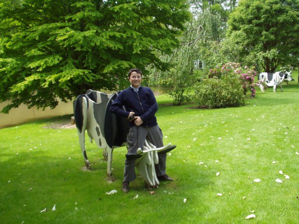 OLYMPUS DIGITAL CAMERA