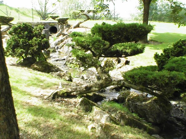 Sortie Vieilles Voitures 2006 198